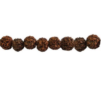 13 inch strand of 9 to 10mm Round Rudraksha Seed Beads