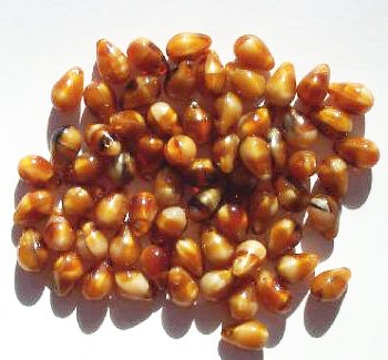 60 10x6mm Satin Caramel Tortoise Drop Beads