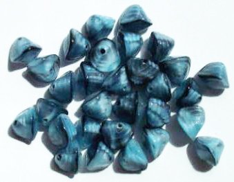 30 9mm Two Tone Opaque Light Blue & Black Shell Beads