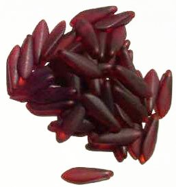 50 5x16mm Matte Transparent Garnet Dagger Beads