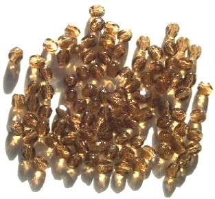 100 4mm Faceted Smoke Topaz