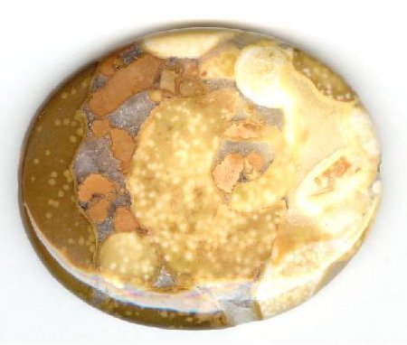 1 50x40x7mm Flat Oval Ocean Jasper