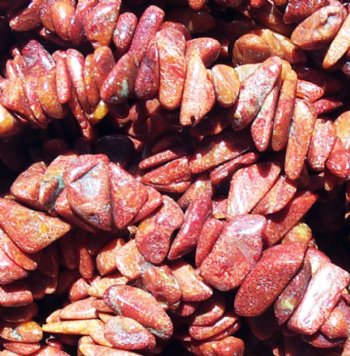 36 inch strand of Red Sponge Coral Chips