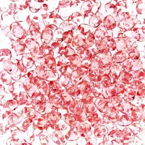 DUO570120 - 10 Grams Transparent Rosaline 2.5x5mm Superduo Beads
