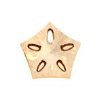 1 30mm Swarovski Golden Shadow Lotus Pendant