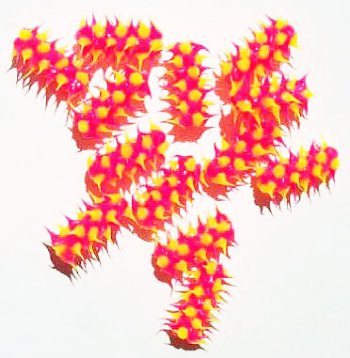 1 15x6mm Hot Pink & Yellow Silicone Tube Bead