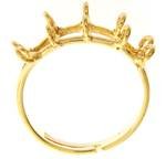 1 Gold Plated Adjustable Ring with two Wide Rows of Five Loops