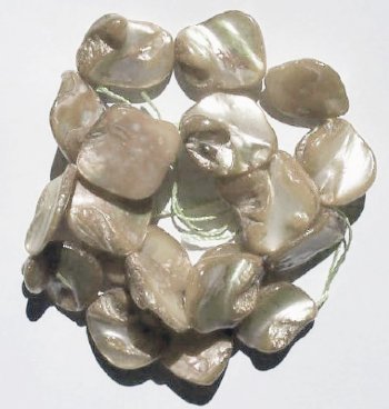 16 inch strand of 13-16mm Diagonal Off White Shells