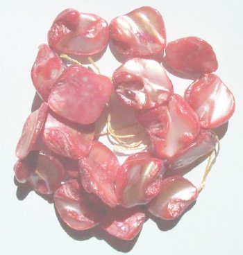 16 inch strand of 13-16mm Diagonal Light Pink Shells
