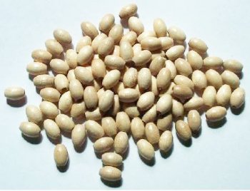 100 9x6mm Natural Oval Wood Beads