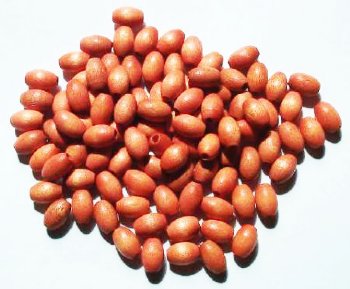 100 9x6mm Light Brown Oval Wood Beads