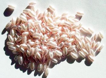 200 6x3mm Acrylic Pearl Light Pink Ovals