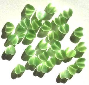 30 6mm Light Green Fiber Optic Cat Eye Heart Beads