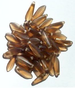 50 5x16mm Matte Transparent Smoke Topaz Dagger Beads