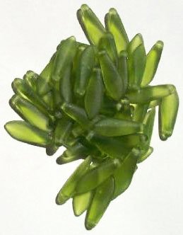 50 5x16mm Matte Transparent Olive Dagger Beads