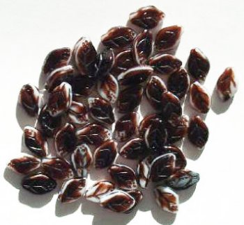 50 12mm Opaque White & Dark Brown Glass Leaf Beads
