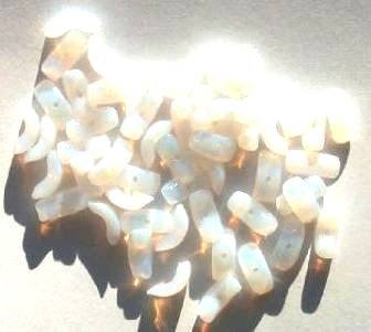 50 10mm Milky White Opal Angel Wing Beads