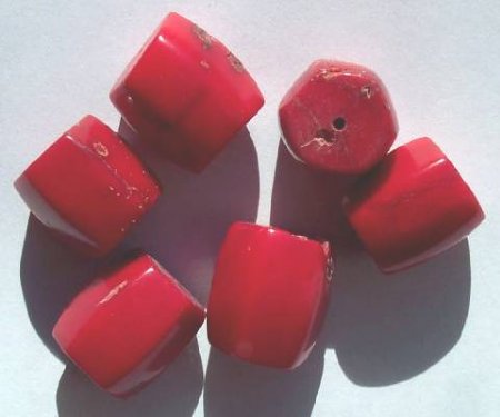 6 18x17mm Large Sea Bamboo Coral Drums