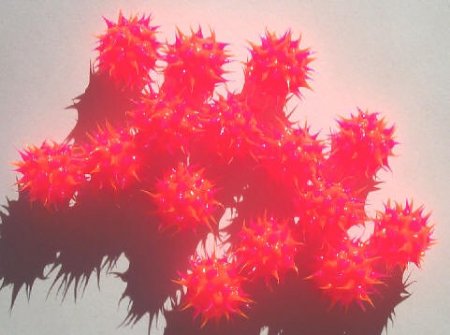 1 10mm Round Hot Pink & Orange Silicone Bead