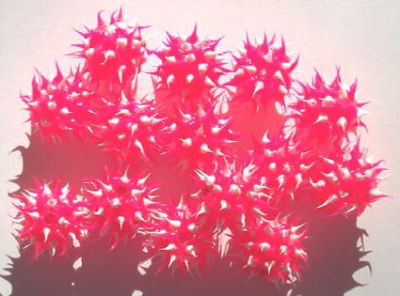 1 10mm Round Hot Pink & White Silicone Bead