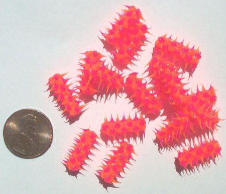 1 15x6mm Hot Pink & Orange Silicone Tube Bead