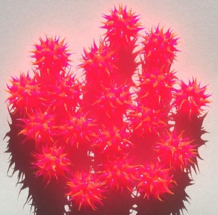 1 8mm Round Hot Pink & Orange Silicone Bead