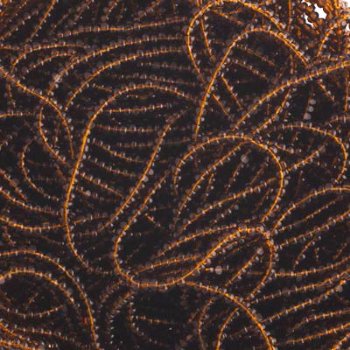 10 Grams 13/0 Charlotte Seed Beads - Transparent Dark Topaz