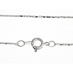 16 inch Silver Plate Serpentine Chain