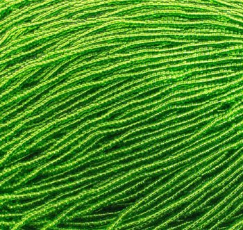 1 Hank of 10/0 Transparent Light Green Seed Beads