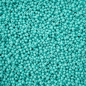 1 Hank of 11/0 Solgel Opaque Dyed Chalk Turquoise Seed Beads
