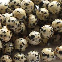 16 inch strand 10mm Round Dalmatian Jasper Beads