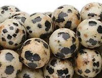 16 inch strand 8mm Round Dalmatian Jasper Beads