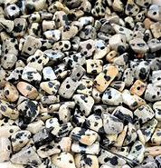25 grams of Loose Dalmatian Jasper Chips