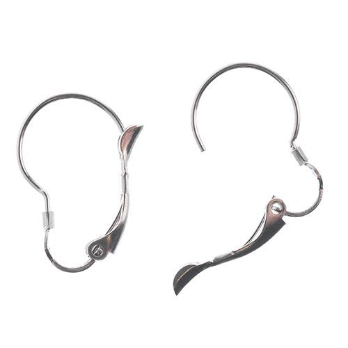 10pcs of 21mm Stainless Steel Round Leverback Earrings with Comfort Closure
