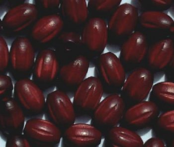 50 10.5x7mm Mahogany Ridged Oval Wood Beads